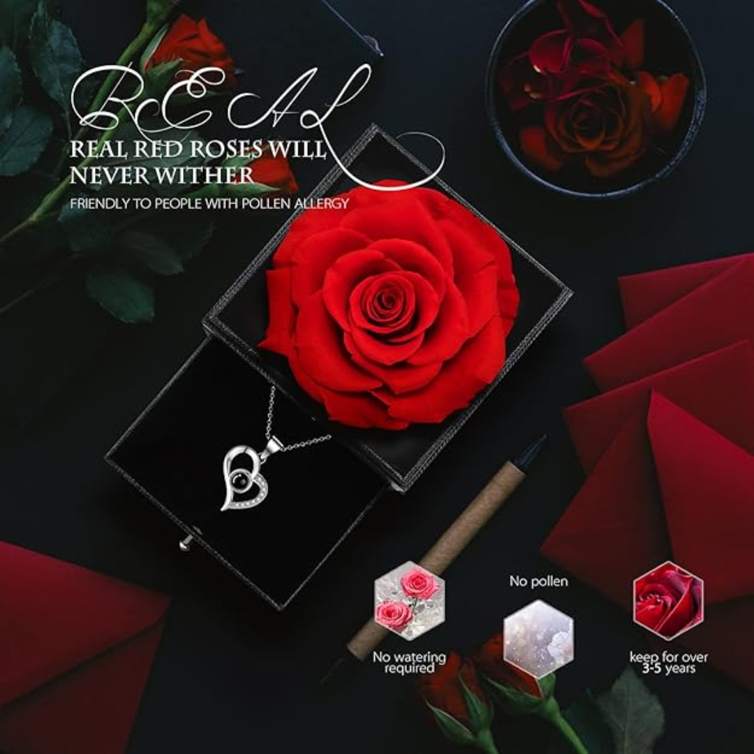 EternalBloom-Collar proyecta amor